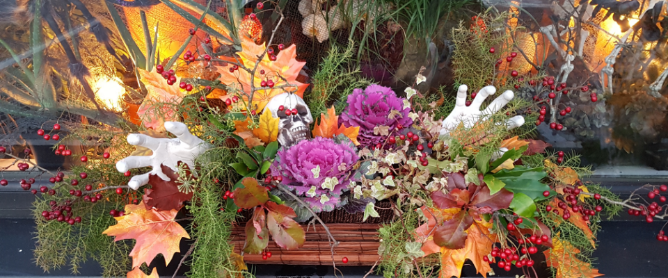 Keanes Garden Centre & Florist